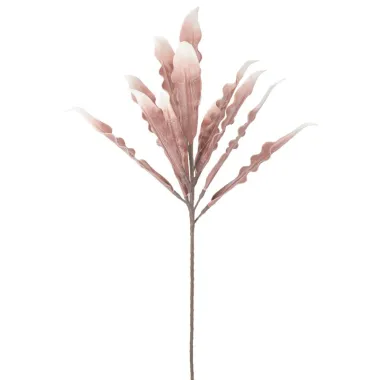 ALOE ROSA Ø 30X98 10 cm